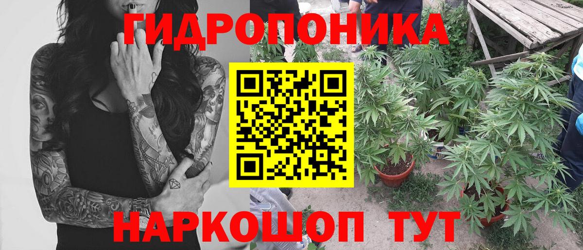 МАРИХУАНА LSD WEED  МАРИХУАНА OG Kush  Верхняя Пышма  Вход с VPN 
